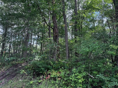 16 Rice Corner Rd, Brookfield, MA 01506 - photo 3