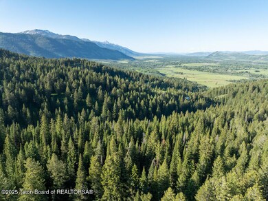 6620 Lupine Trail, Wilson, WY 83014 - photo 5