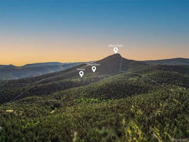 26271 Richmond Hill Rd, Conifer, CO 80433 - photo 3