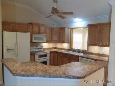 3401 Carbondale Ct, The Villages, FL 32162 - photo 4