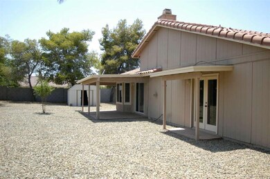 back yard