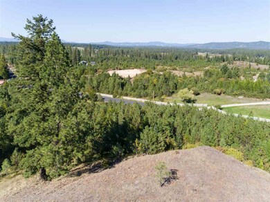 28107 N Perry Rd, Chattaroy, WA 99003 - photo 2