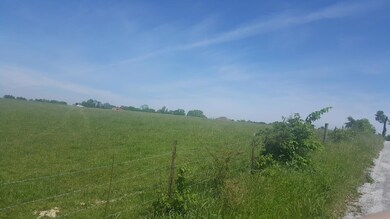 0 Tract C Hidden Valley Rd, Clever, MO 65631 - photo 6