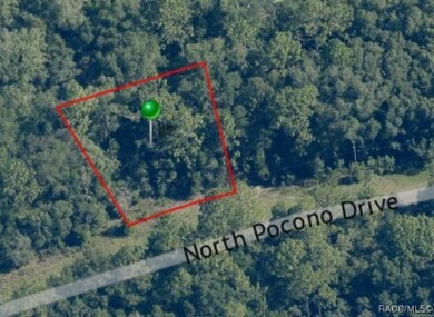 8460 N Pocono Dr, Citrus Springs, FL 34434 - photo 4