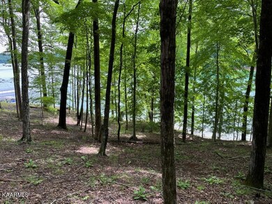 deer run circle david 3