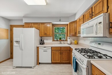 262 E Forest Ln, Palatine, IL 60067 - photo 6