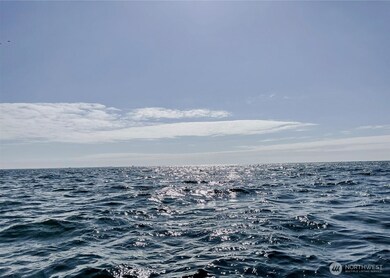 254 Olympic View Ave NE, Ocean Shores, WA 98569 - photo 5