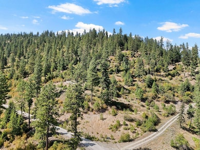 4139 N Deer Lake Rd unit LOT 5, Loon Lake, WA 99148 - photo 7