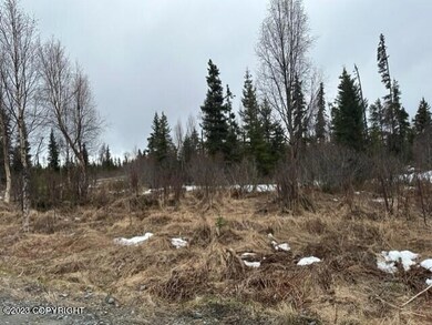 thumbnail_IMG_7716
