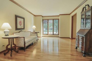 2235 Lotus Ct, Naperville, IL 60565 - photo 2