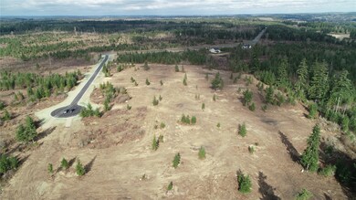 15814 Boise Ln SE, Yelm, WA 98597 - photo 5