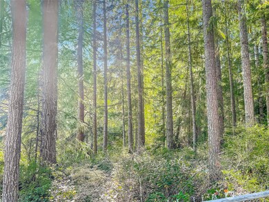 300 Kerr Rd, Silver Lake, WA 98645 - photo 3