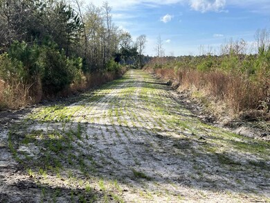 0 Easler Hwy unit 2528901, Greeleyville, SC 29056 - photo 5