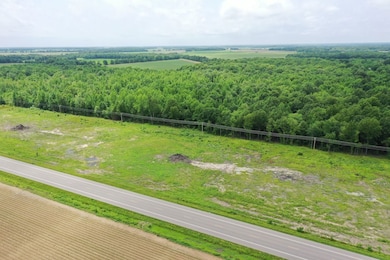 67 County Road 352, Neelyville, MO 63954 - photo 2