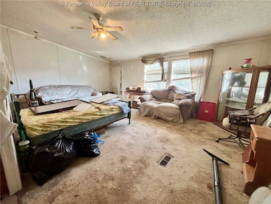 2055 Mud Run Rd, Ripley, WV 25271 - photo 5