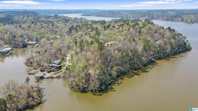 87 Water Spring Ct, Rockford, AL 35136 - photo 4