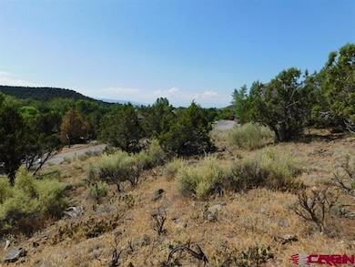 240 SE Flintlock Ct, Cedaredge, CO 81413 - photo 3
