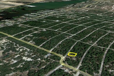 207 Sunnyside Dr, Lake Placid, FL 33852 - photo 5