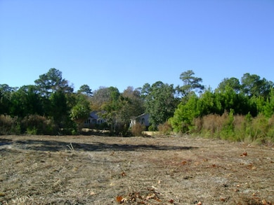 1215 Sea Palms West Dr, St. Simons Island, GA 31522 - photo 4