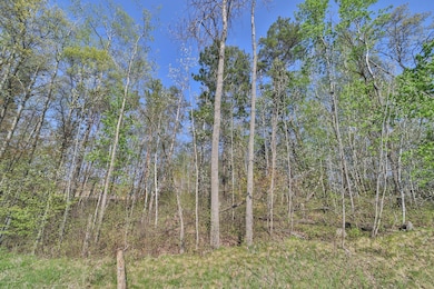 Lot 5, 6 & 7 Terminal Rd, Breezy Point, MN 56472 - photo 5