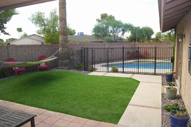 Yard and Pool