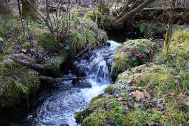 0 Roberts Lake Rd unit 11616225, Laona, WI 54541 - photo 6