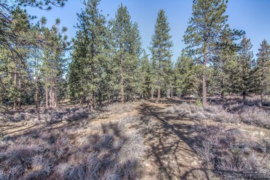 0 SW Ponderosa St unit 201800808, Bend, OR 97702 - photo 6