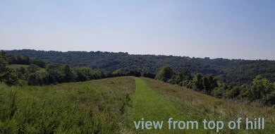 view from top of hill