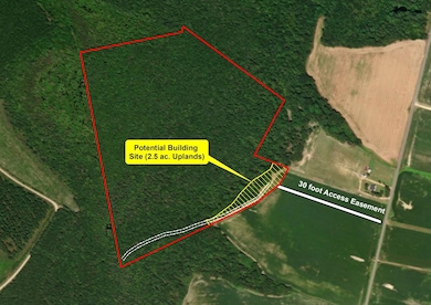 0 Gum Swamp Rd, Sellers, SC 29592 - photo 2