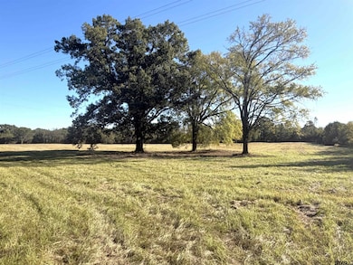TBD Cr 4316 & 4314, Dekalb, TX 75559 - photo 2