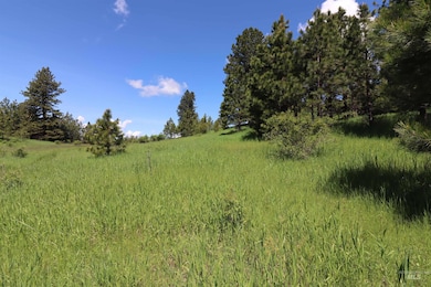 TBD Serenity Rd, Kamiah, ID 83536 - photo 5