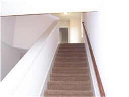 3813 Lydia St, Houston, TX 77021 - photo 6