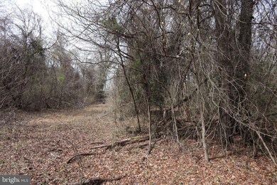 Lots 2-15 Penguin Place, Bryans Road, MD 20616 - photo 5