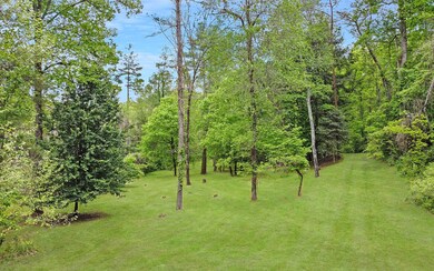 Additional View