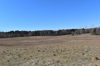 Thompson Farm Rd, Mabelvale, AR 72013 - photo 3