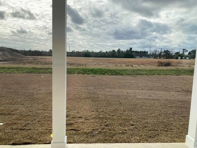 141 River Birch Dr unit Lot 160 Bailey11, Loris, SC 29569 - photo 6