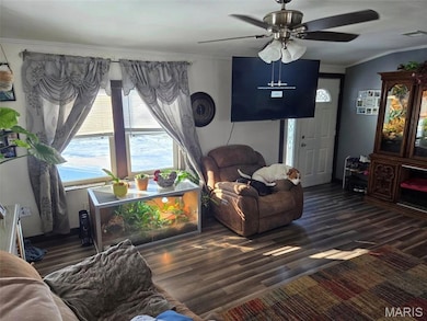 160 S Church St, New Canton, IL 62356 - photo 6