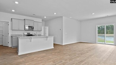 206 Livingston Woods Dr, Irmo, SC 29063 - photo 4