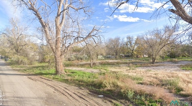 707 E 3rd St, Roswell, NM 88201 - photo 2