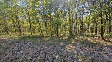 7321 E 200 N, Grovertown, IN 46531 - photo 6