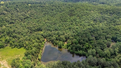 40 Bruce Mitchell Rd, Ravenden Spring, AR 72460 - photo 3