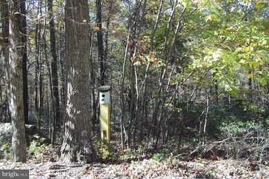 0 Johnny Cake Rd unit 1004197136, Great Cacapon, WV 25422 - photo 6