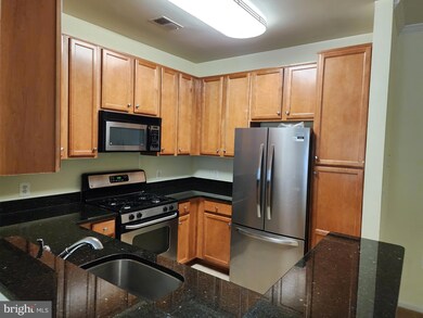 1516 N Point Dr unit 102, Reston, VA 20194 - photo 2