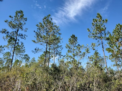 0 County Line Rd unit 20907517, Lee, FL 32059 - photo 3