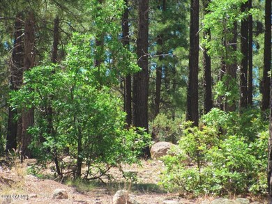 arizona_mountain_retreat_property_lot_wi