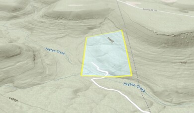 2078 Peyton Mountain Rd, Dennard, AR 72629 - photo 4