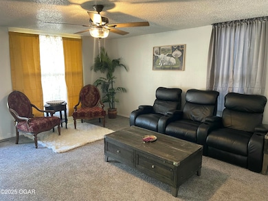 1106 W Austin St, Webb City, MO 64870 - photo 2