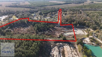 12 Acres Raybon Rd E, Nahunta, GA 31553 - photo 7