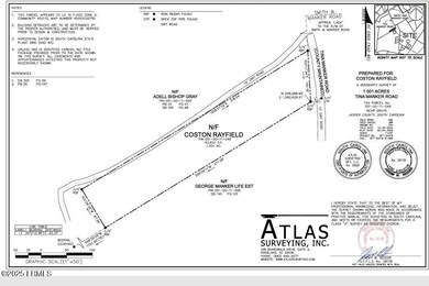 Tbd Tina Manker Rd, Ridgeland, SC 29936 - photo 5