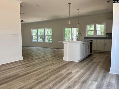 1019 Beaufort Farm Rd, Blythewood, SC 29016 - photo 5